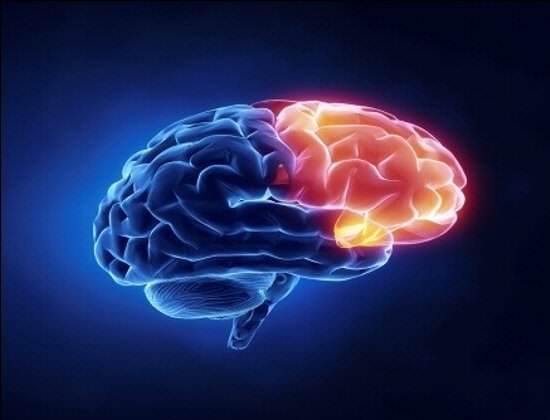 brain-injury-lawyers-003