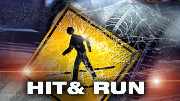 fatal kent hit-and-run accident
