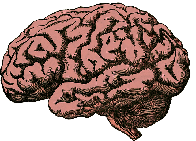 cerebral palsy