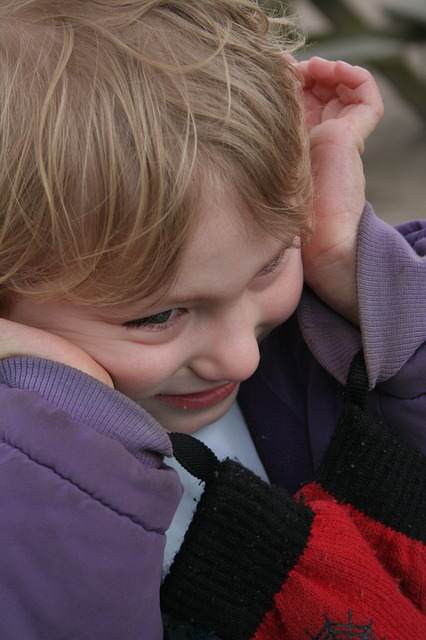 autism siblings chances