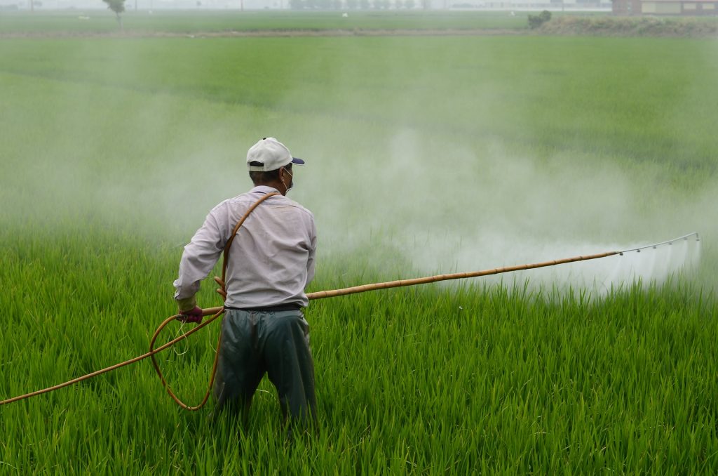 insecticide linked to autism